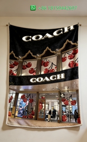 Coach Throw Blankets